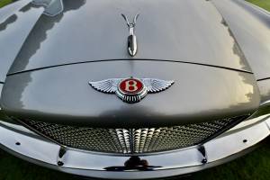 Afbeelding 38/50 van Bentley Arnage Red Label (2002)