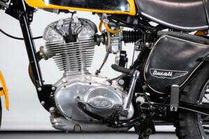 Immagine 22/50 di Ducati 250 Scrambler (1971)