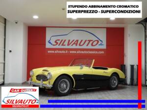 Afbeelding 1/15 van Austin-Healey 3000 Mk I (BN7) (1960)