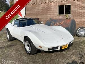 Image 1/50 of Chevrolet Corvette Sting Ray (1979)
