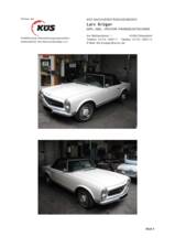 Imagen 30/30 de Mercedes-Benz 230 SL (1966)