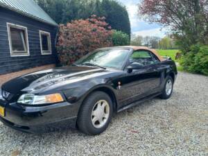 Image 3/8 of Ford Mustang GT (2000)