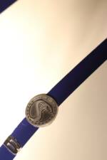 Image 45/57 of AC Cobra 427 (1965)