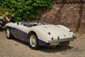 Immagine 40/50 di Austin-Healey 100/4 (BN1) (1954)