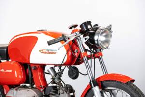 Immagine 14/50 di Aermacchi Ala Verde (1964)