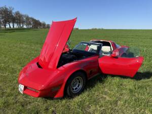 Image 14/20 of Chevrolet Corvette Sting Ray (1980)