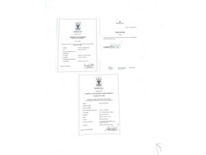 Immagine 6/50 di Maserati Indy 4700 (1971)