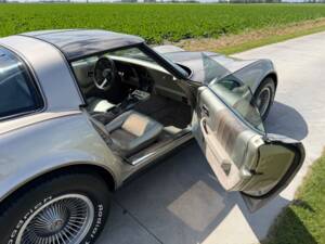 Afbeelding 20/50 van Chevrolet Corvette Collector Edition (1982)