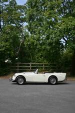 Imagen 11/50 de Daimler SP 250 (1960)