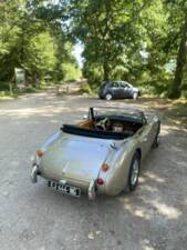 Bild 8/8 von Austin-Healey 3000 Mk III (BJ8) (1965)