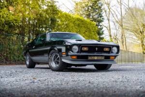 Immagine 8/48 di Ford Mustang Boss 351 (1970)