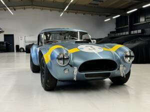 Afbeelding 3/28 van AC Shelby Cobra 289 (1963)
