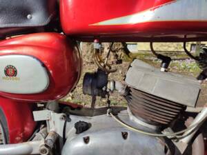 Immagine 17/49 di Benelli Nuovo Leoncino (1965)