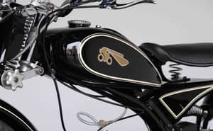 Immagine 28/64 di Riedel Motoren AG Imme R 100/D (1953)
