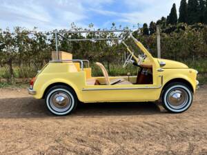 Bild 12/80 von FIAT Ghia 500 Jolly (1972)