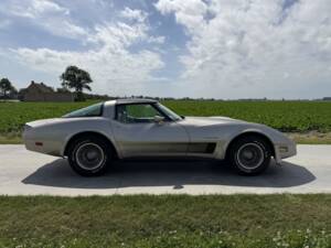 Afbeelding 10/50 van Chevrolet Corvette Collector Edition (1982)