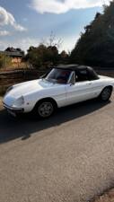 Afbeelding 17/19 van Alfa Romeo 1750 Spider (1969)