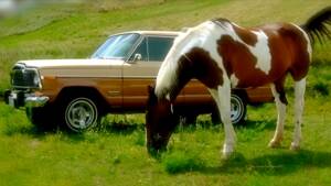 Image 5/14 de Jeep Wagoneer Limited (1979)