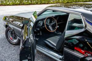 Immagine 34/48 di Ford Mustang Boss 351 (1970)
