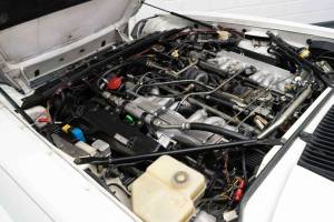 Immagine 3/19 di Jaguar XJS 5.3 V12 (1991)