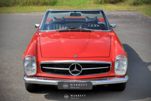 Image 3/70 of Mercedes-Benz 280 SL (1969)