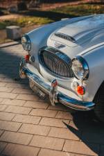 Bild 25/44 von Austin-Healey 3000 Mk III (BJ8) (1966)