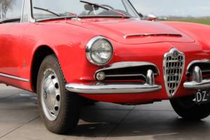 Bild 42/50 von Alfa Romeo Giulia 1600 Spider Veloce (1965)