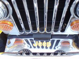 Image 14/51 of Jeep CJ-7 Renegade (1981)