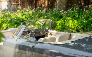Image 7/77 of Alfa Romeo 2600 Spider (1963)