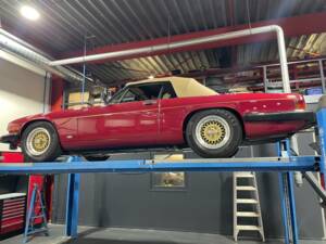Bild 7/62 von Jaguar XJ-S Convertible (1988)