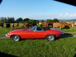 Imagen 9/21 de Jaguar E-Type 4.2 (1967)