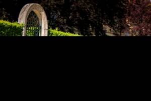 Imagen 19/93 de Ford Fairlane 500 (1963)