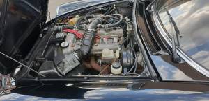 Image 16/32 of Alfa Romeo Spider Veloce (1987)