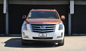 Bild 5/50 von Cadillac Escalade (2019)