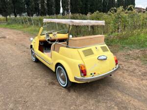 Bild 55/80 von FIAT Ghia 500 Jolly (1972)
