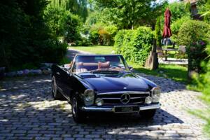 Image 10/11 of Mercedes-Benz 280 SL (1969)