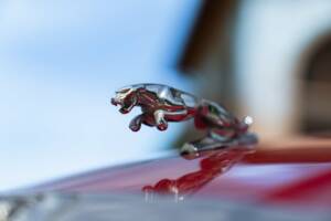 Imagen 12/50 de Jaguar XJ 6 4.2 (1981)