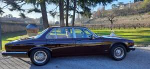 Afbeelding 3/15 van Jaguar XJ 6 4.2 (1982)