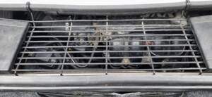 Immagine 41/50 di MG F 1.8i VVC 75 LE "75th Anniversary" (1999)