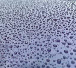 Bild 41/55 von Porsche 911 Carrera (1998)