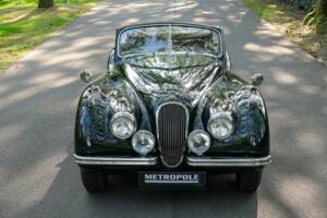 Image 42/50 of Jaguar XK 120 DHC (1953)