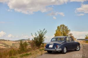 Image 6/50 of Daimler 2.5 Litre V8 (1965)