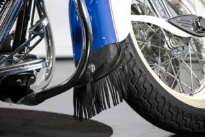 Immagine 33/50 di Harley-Davidson FXSTS Softail Springer (2000)