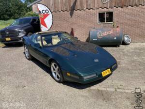 Immagine 26/29 di Chevrolet Corvette (1992)