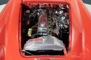 Immagine 18/19 di Austin-Healey 3000 Mk III (BJ8) (1965)