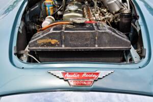 Bild 19/61 von Austin-Healey 3000 Mk III (BJ8) (1965)