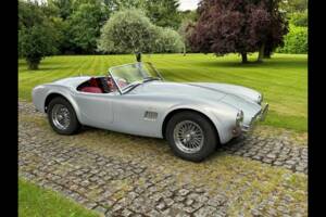 Bild 4/24 von AC Cobra 289 (2001)