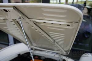 Afbeelding 50/50 van Austin-Healey 100&#x2F;4 (BN1) (1954)