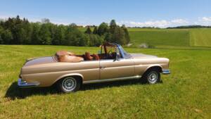 Image 32/38 of Mercedes-Benz 280 SE 3,5 (1969)