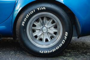 Image 13/68 of Shelby Cobra 289 (1966)
